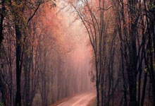 玩加电竞官网：[国]颜骏凌：我们最大的动力就是为主场而战.