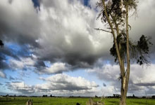 玩加电竞官网:金牌进账 余依婷游得更有底气了.