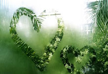 短道速滑——世锦赛:女子1500米四分之一决赛赛况2.