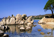 亚冬会|国家体育总局官员:中华体育精神在亚冬会熠熠生辉2025-02-11.